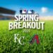 ROIO VS. DOMPENCIAMENTOS