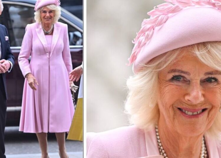 Rainha Camilla Sparks Fan Frenzy em vestido rosa bebê | Real | Notícias