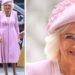 Rainha Camilla Sparks Fan Frenzy em vestido rosa bebê | Real | Notícias