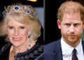 Rainha Camilla preparada para dar um golpe fresco para o príncipe Harry