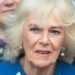 Real razão pela rainha Camilla não se juntou ao rei Charles no hospital revelado | Real | Notícias