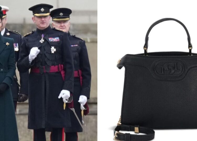 Recrie a linda bolsa da princesa Kate por apenas £ 53 da Dune | Real | Notícias