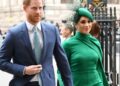 Royal Family Live: LipReader decodifica brutal observação de 7 palavras do príncipe Harry sobre William | Real | Notícias