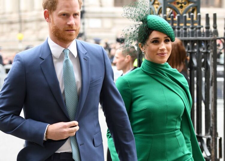 Royal Family Live: LipReader decodifica brutal observação de 7 palavras do príncipe Harry sobre William | Real | Notícias