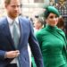 Royal Family Live: LipReader decodifica brutal observação de 7 palavras do príncipe Harry sobre William | Real | Notícias