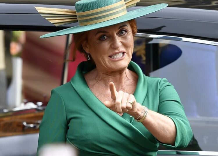 Sarah Ferguson se ofereceu para 'ajuda' com o EPI durante o início do covid, o inquérito ouve | Real | Notícias