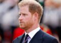 'Sou um ex-mordomo-royal e este é o maior medo do príncipe Harry em retornar ao Reino Unido' | Real | Notícias