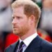 'Sou um ex-mordomo-royal e este é o maior medo do príncipe Harry em retornar ao Reino Unido' | Real | Notícias