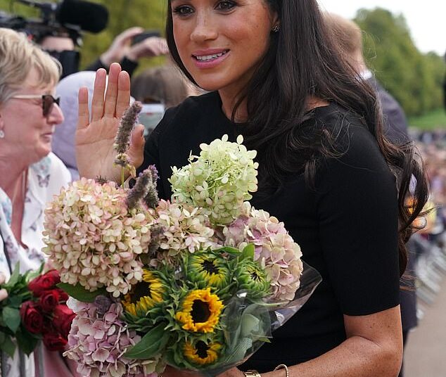 The moment Meghan Markle realised she wasn’t welcome in the UK: While on the notoriously awkward walkabout with William and Kate after the Queen’s death, one brave royal fan sent her a message by SNUBBING her offer of a handshake