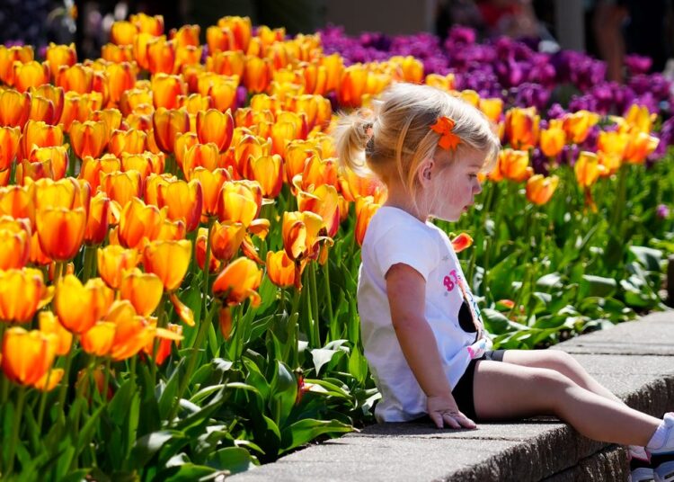 Things to do in Cincinnati this week: March 31-April 6