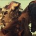 Tim McGraw, Jelly Roll, McEntire trazem o evento PRCA Rodeo para Nashville