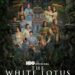 Todo mundo perdeu depois da cena entre Saxon e Lochlan no episódio da noite passada de "The White Lotus"