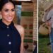 Todos os fãs reais concordam com uma coisa sobre os cabelos de Archie e Lilibet na nova foto | Real | Notícias