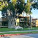 Um dia de relaxamento e entretenimento no John D. Spreckels Center