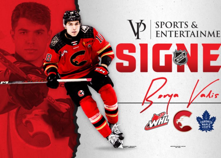 VP Sports & Entertainment Presents: Toronto Maple Leafs Sign Cougars Forward Valis para contrato de nível básico