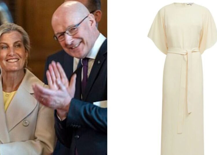 Vestido amarelo exato da duquesa Sophie - e alternativas de rua High | Real | Notícias