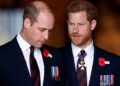 Which brother do Americans prefer – Prince William or Prince Harry? Interactive graphic reveals what the USA really thinks of the Royal Family, and the results may surprise you