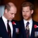 Which brother do Americans prefer – Prince William or Prince Harry? Interactive graphic reveals what the USA really thinks of the Royal Family, and the results may surprise you