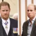 William teria chamado seu irmão Harry para falar sobre o rei Charles: 'Ele tem ...'
