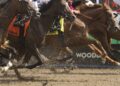 Woodbine Entertainment e Ontario HBPA alcançam um novo contrato de dois anos