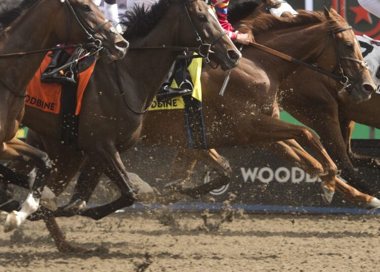 Woodbine Entertainment e Ontario HBPA alcançam um novo contrato de dois anos