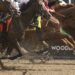 Woodbine Entertainment e Ontario HBPA alcançam um novo contrato de dois anos