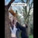 maclovio. postrence ante su realeza 🤣🤣😾😾🐈🐈👑 🤣🤣 #humor #pets#parati#risas