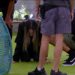 TOMBO CHEGOU!!! RENATA CAIU NO GRAMADO APÓS ELIMINAÇÃO DE EVA… CONFIRA O MOMENTO | BBB25