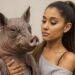 OS PETS MAIS EXÓTICOS DAS CELEBRIDADES – Você Teria Coragem?