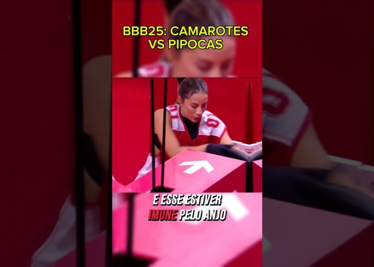 MÁFIA DOS CPFS #bbb25 #entretenimiento #fofoca #shorts #bbb25