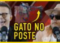 FOFOCAS DE SANTA CATARINA – Indavírus | Gustavo Pórco e Lauro Antigo