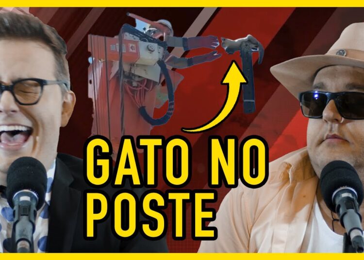 FOFOCAS DE SANTA CATARINA – Indavírus | Gustavo Pórco e Lauro Antigo