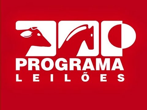 16° Leilão Realeza Nelore Pintado PO
