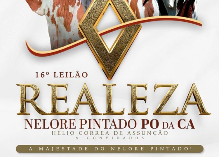 16º LEILÃO REALEZA NELORE PINTADO PO / 1ª ETAPA EXPOGRANDE 2025 – CAMPO GRANDE/MS – RURAL PLAY