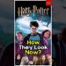 You won’t believe how HARRY POTTER stars look now! |Movie Stars #harrypotter #mrbeast  #tseries #ipl