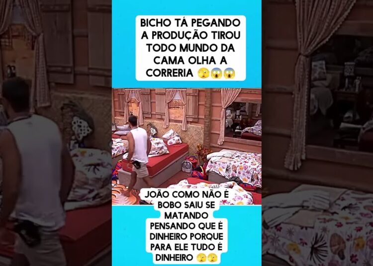 Bucho tá pegando no bbb #noticias #ultimasnoticia #fofoca #noticiasmundiais #bbbnoticias