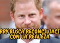 El Príncipe Harry Revela Impactante Plan para Reconciliarse con la Realeza Británica