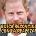 El Príncipe Harry Revela Impactante Plan para Reconciliarse con la Realeza Británica