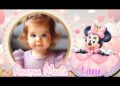 Retrospectiva Minnie Rosa realeza