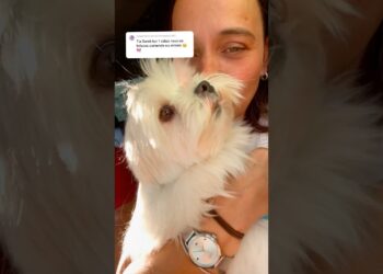 Tenho uma fofoca absurdo ela contar pra vocês 😱