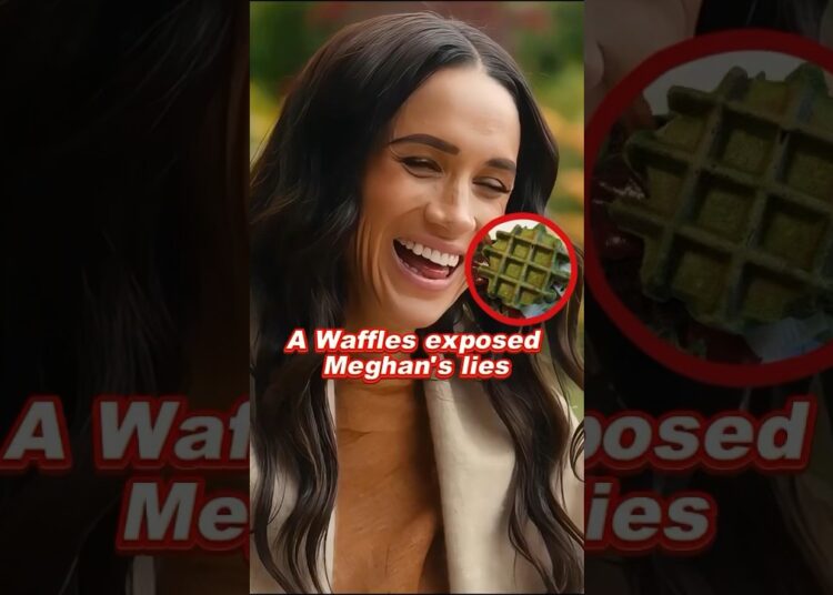 A Waffles exposed Meghan’s lies #Meghan #PrinceHarry #royal #fyp #funny