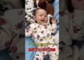 O Cachorrinho da Realeza Que Vai Te Falar ‘ME SEGURA OU EU METO A MÃO’