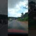 Realeza MG BR262