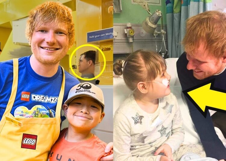 WHEN CELEBRITIES SURPRISE THEIR FANS!