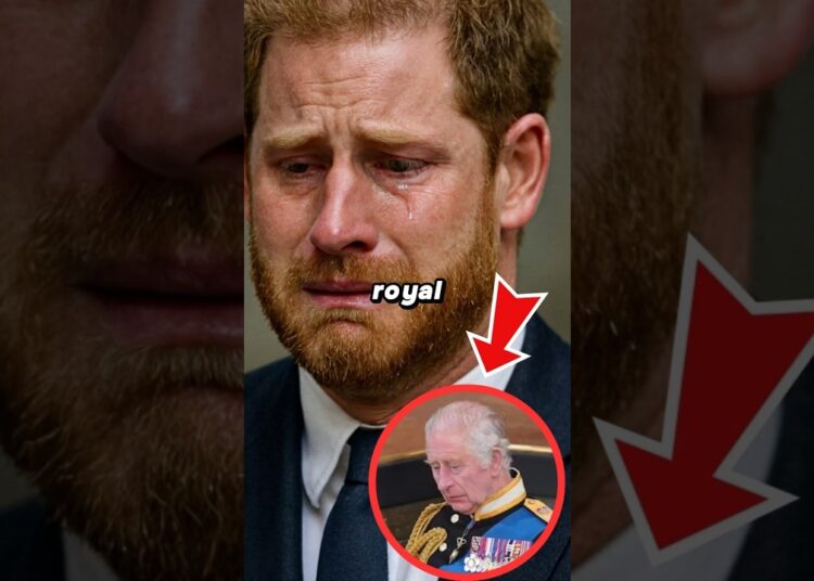 ROYAL IN SHOCK! Harry’s Sad News About King Charles After Their Secret Meeting Tears Nation Apart