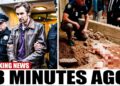 FBI Removes Old Floor From Mike Wolfe Mansion, They Turn Pale When They See What’s Inside