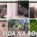 VISITANDO A FAZENDA REALEZA EM ITAITE BAHIA