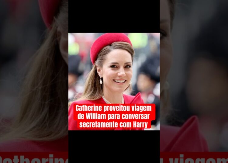 #katemiddleton aproveita viagem de #william para conversar secretamente com #harry #realezabritanica