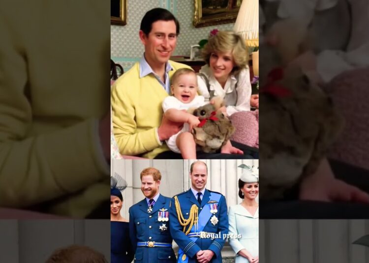 cute small family of Prince William #britishroyalfamily #diana #kingcharles #royalfamily