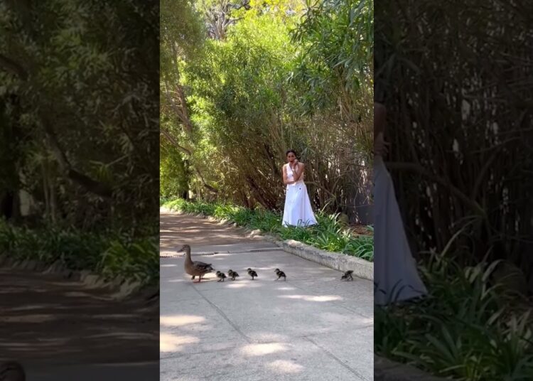 Meghan Markle SHOCKED over unexpected guests at Easter | HELLO!